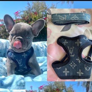 “Designer” Dog harness with matching leash